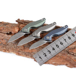 Pocket Knife Titanium Handle Outdoor Mini Folding Knife Multifunctional Folding Knife Portable Keychain Knife